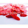 Ningxia Goji Berry / Wolfberry Obst / Chinesische Mispel